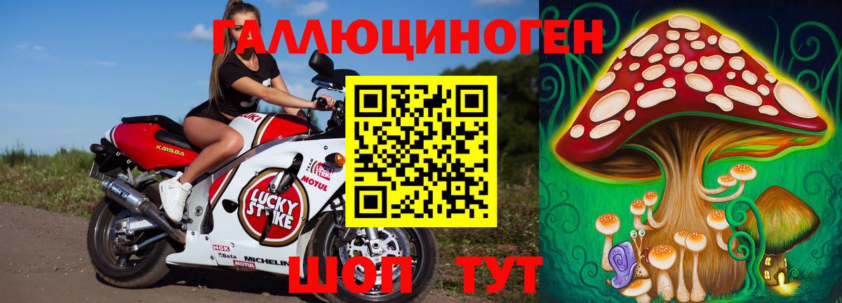 Уварово  Псилоцибиновые грибы Psilocybe  Псилоцибиновые грибы прущие грибы  Вход с VPN 